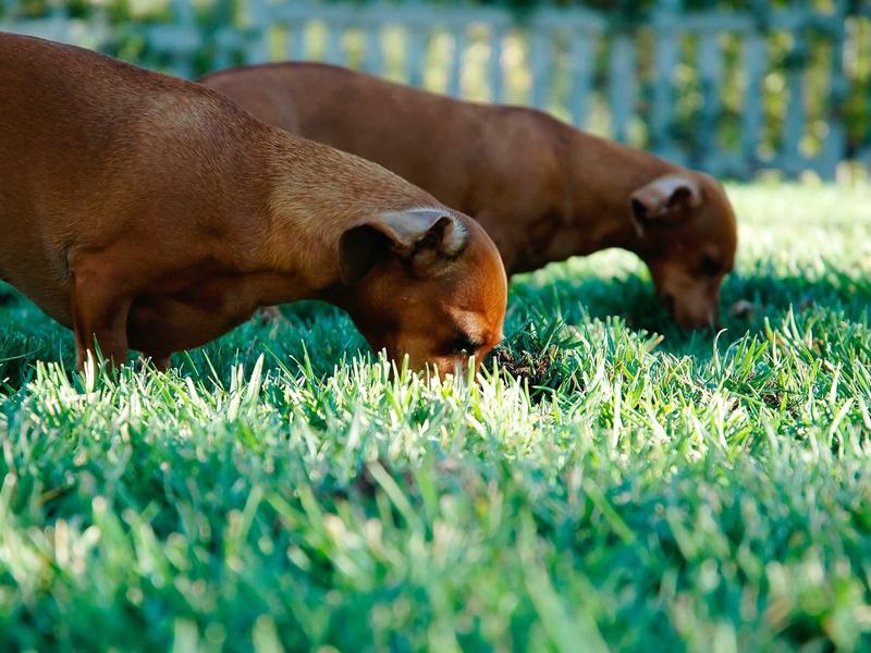 sudoku kids version screenshot 1