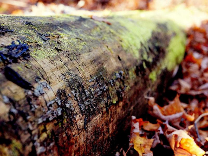 sudoku kids version screenshot 4