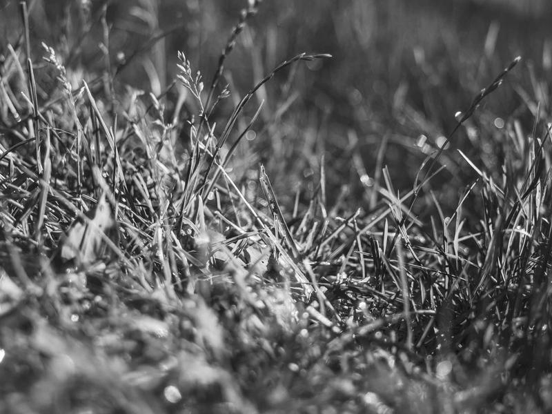 sudoku kids version screenshot 5